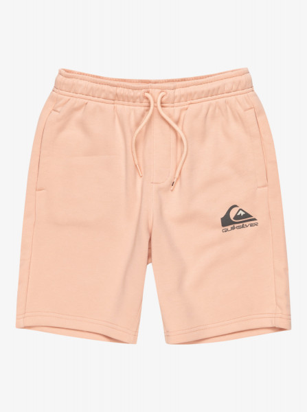 Quiksilver Easy Day Jogger Short Youth