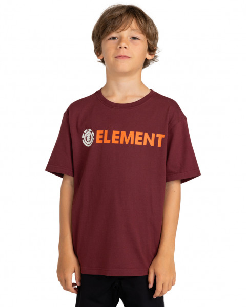 Element Blazin Tee Youth