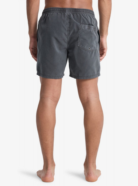 Quiksilver Everyday Surfwash Volley 15