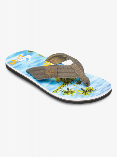 Quiksilver Molokai Layback II