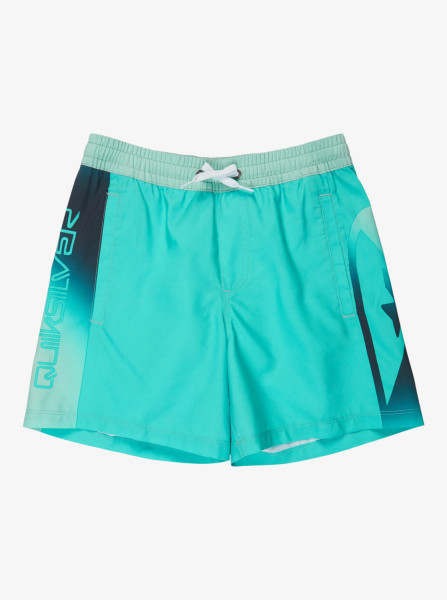 Quiksilver Everyday Holmes Volley Yth 16