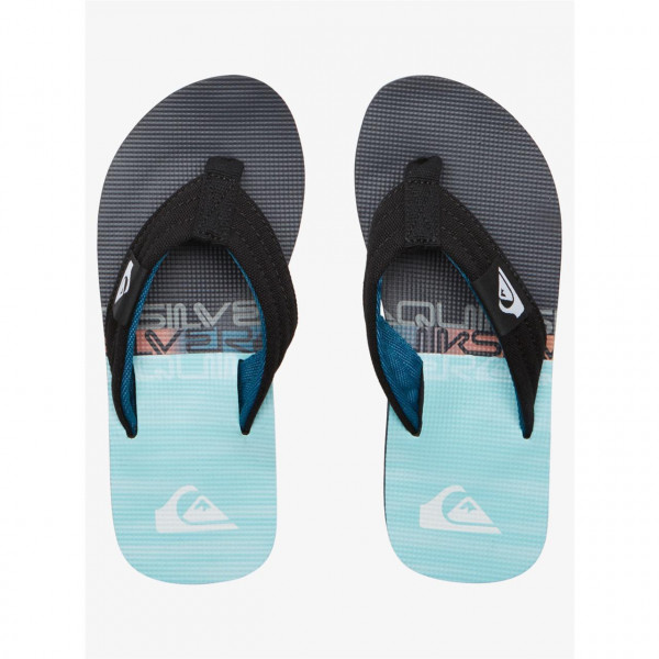 Quiksilver Molokai Layback II Youth